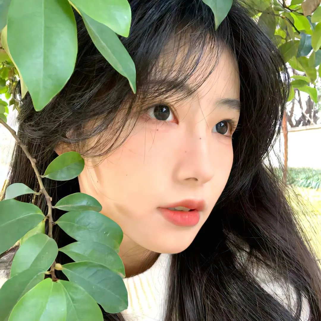 码头风云
